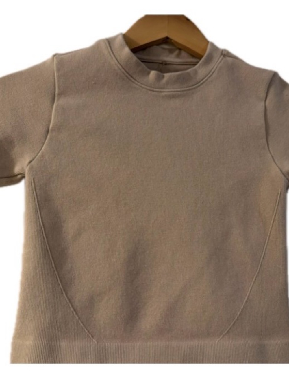 Everlane Taupe Crewneck Cropped T-Shirt | XS
